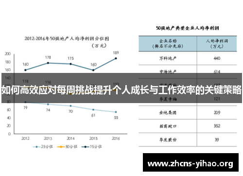 如何高效应对每周挑战提升个人成长与工作效率的关键策略