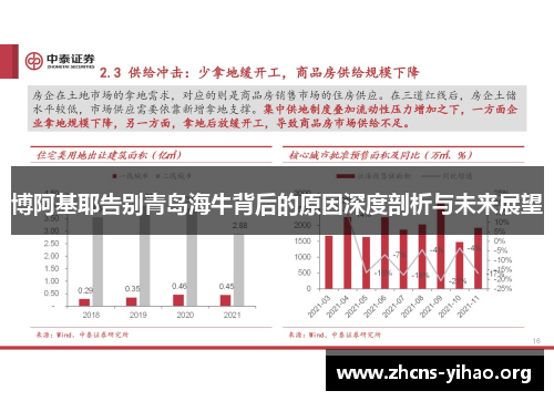 博阿基耶告别青岛海牛背后的原因深度剖析与未来展望