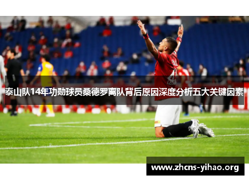 泰山队14年功勋球员桑德罗离队背后原因深度分析五大关键因素