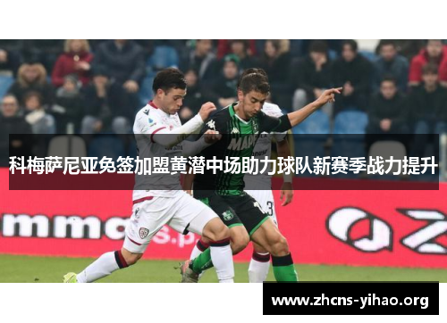 科梅萨尼亚免签加盟黄潜中场助力球队新赛季战力提升