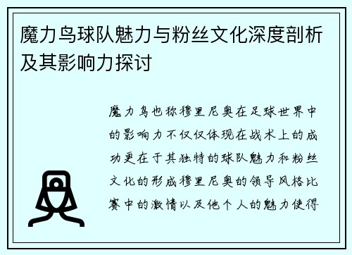 魔力鸟球队魅力与粉丝文化深度剖析及其影响力探讨 魔力鸟球队魅力与粉丝文化深度剖析及其影响力探讨